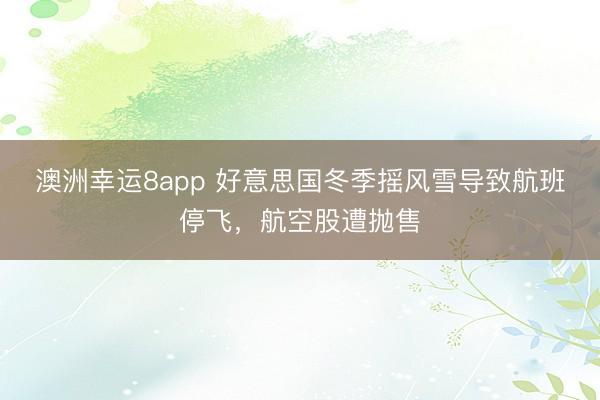 澳洲幸运8app 好意思国冬季摇风雪导致航班停飞，航空股遭抛售
