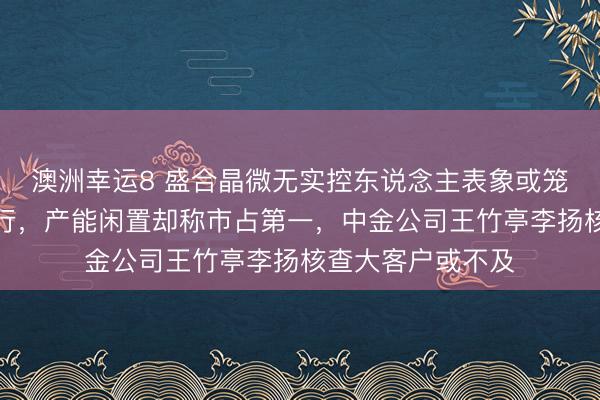 澳洲幸运8 盛合晶微无实控东说念主表象或笼罩崔东内适度施行，产能闲置却称市占第一，中金公司王竹亭李扬核查大客户或不及